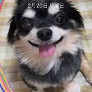 Yoko☆☆