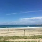 ドナルド