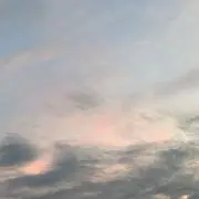 Buuの画像