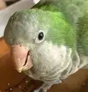 菜畑ファーム