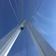 まるんこの画像