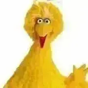 orプロフ必読の画像