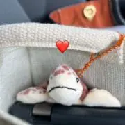 まとめ買い歓迎！の画像