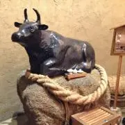 ほうきのり