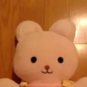 くまの画像