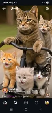 ぺこ(プロフ必読)の画像