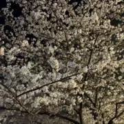 みさ