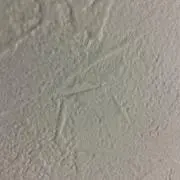 ミルクの画像
