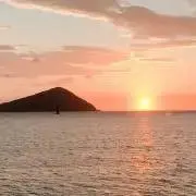 とんの画像