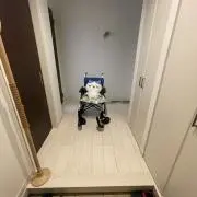 れいの画像