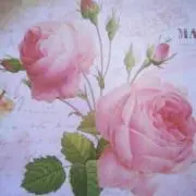 心音 (ここね)＊プロフご確認ください＊の画像