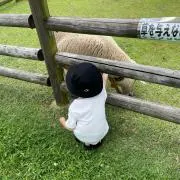 やまちゃん