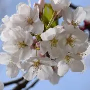 販売停止中～