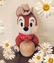 リンリンゴの画像
