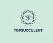 Top Succulentの画像
