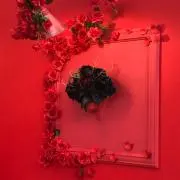 りー プロフ確認してくださいの画像