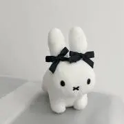 わいの画像