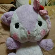 kanon ☆プロフ必読お願いします☆の画像