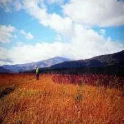 菅野