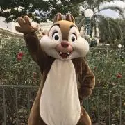 でーるの画像