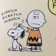 クオズの画像