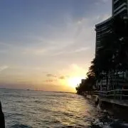 TENTO【即日発送】の画像