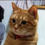 くうもんの画像