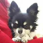 レオママ
