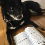 ざきお
