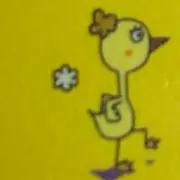 あひる【発送方法変更あり】の画像