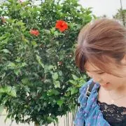 Miiis2の画像