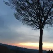 7272の画像