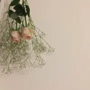 _w_w_の画像