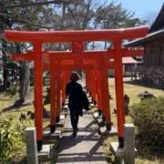 にかの画像