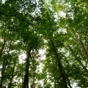 ryou0810の画像