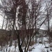 K→Kの画像