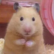 うにうに