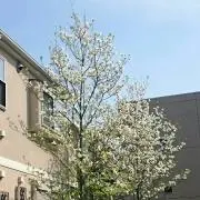 ともママ