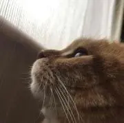 べる