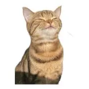 まるおの画像