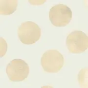 nicoの画像