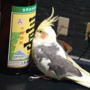 ええじゃろう♪返信遅れます。の画像