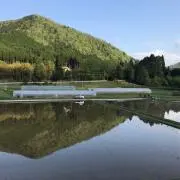 YandTの画像