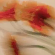 a.の画像