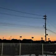 ゆうこたの画像