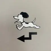 オレンジの画像