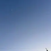 こまるの画像