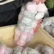 断捨離中　大福の画像