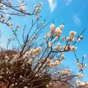 jjの画像