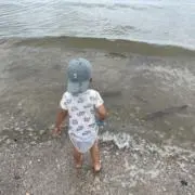ateの画像